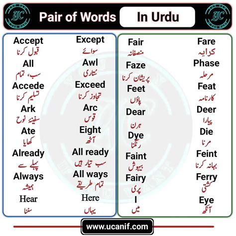 Also Meaning In Urdu .